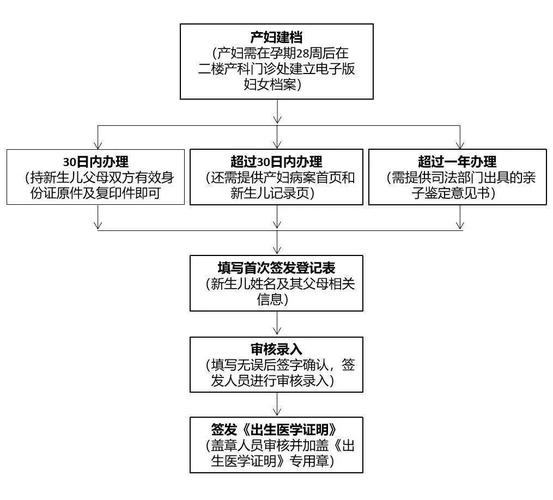 出生证明最新办理指南:快速申领出生医学证明