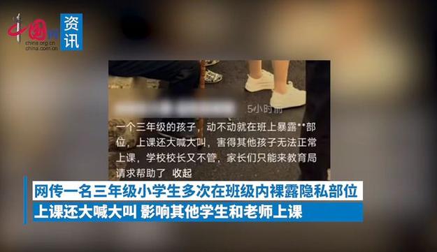 裸体学院/裸体学校:更新后的官方网站地址及使用方法