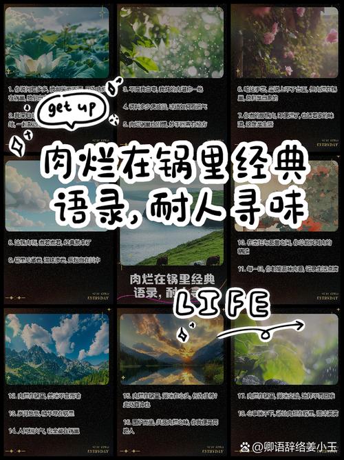 肉烂在锅里游戏攻略详解:轻松玩转游戏技巧