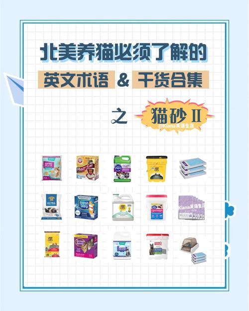 猫研社最新版本号是多少?不同版本区别大揭秘