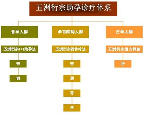 援助妊娠学院3.1更新地址在哪里?官方正版下载途径推荐