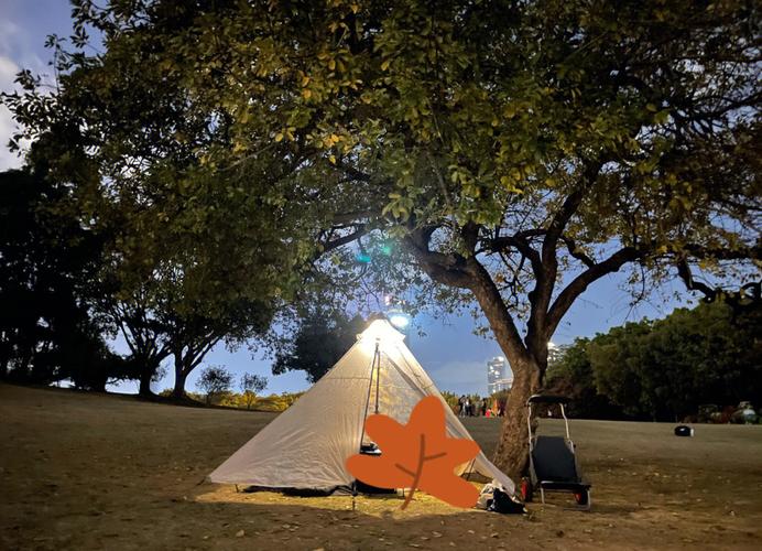 小绿山内有海阁下载教程：新手小白也能轻松上手！