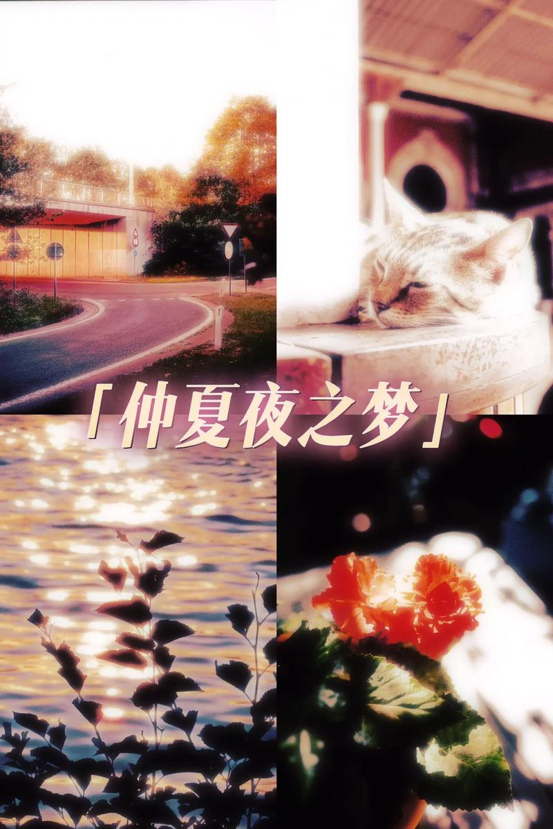 仲夏夜之梦汉化版最新更新：有哪些新内容？