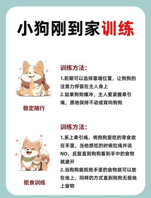 全网最全精灵女上司的训狗术最新攻略：快速通关不迷路