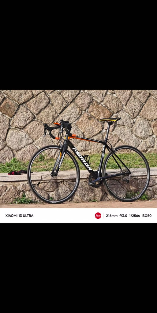 斯拉特福德安卓汉化版在哪下载?新手玩家必看指南