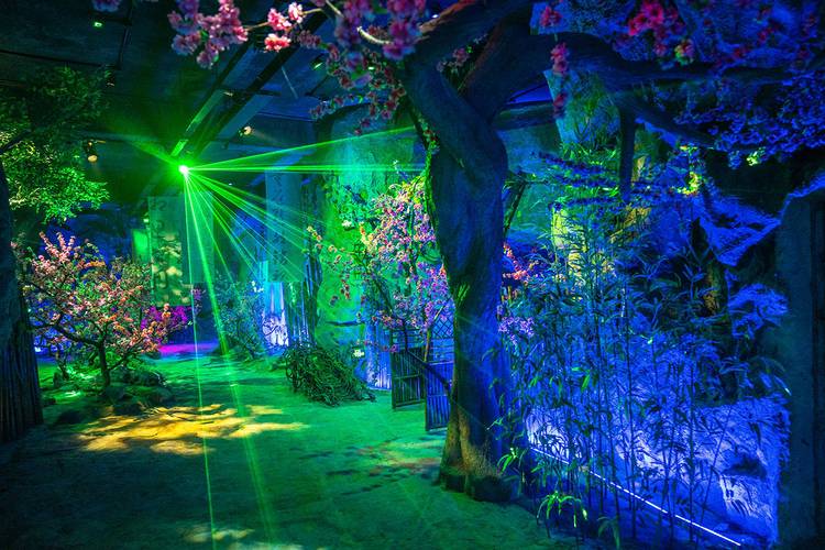 沉浸式体验！债务地狱杨过游戏评测