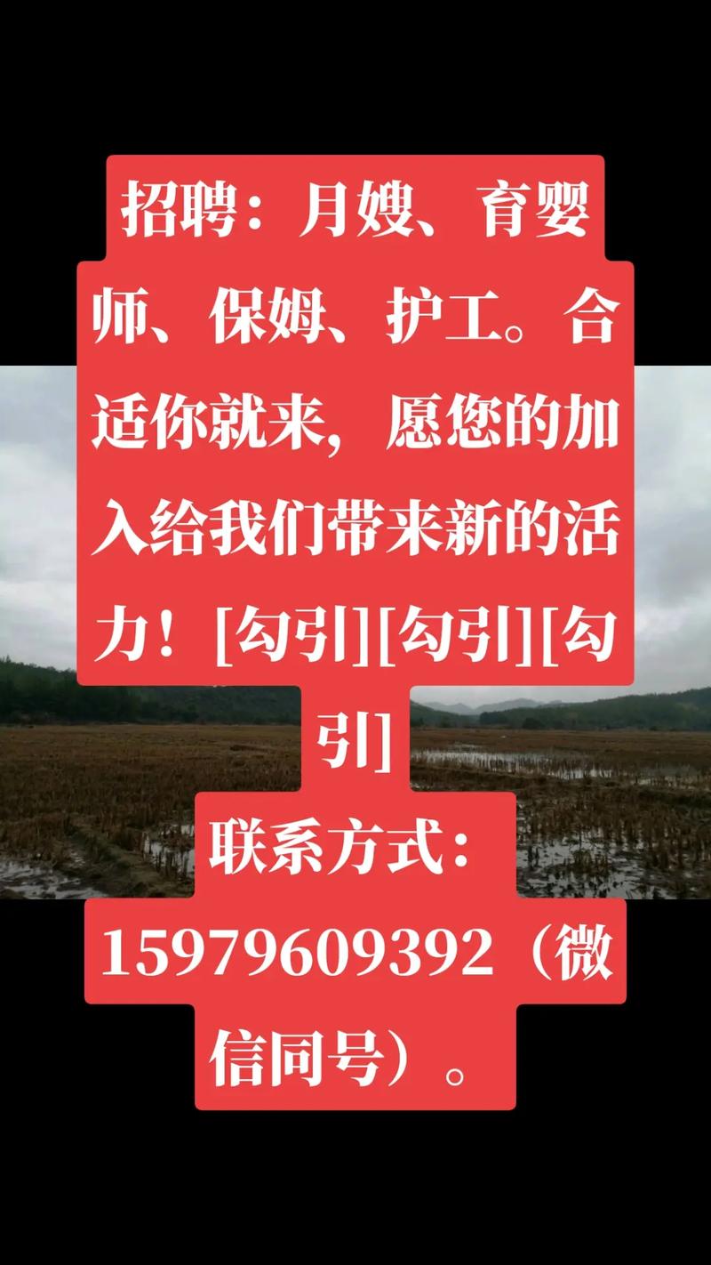 新保姆安卓版下载地址：开启你的保姆养成之旅