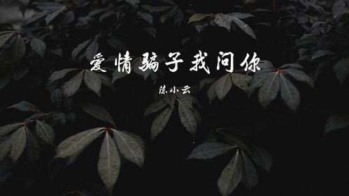 大骗子资源下载指南，高清无损资源轻松get