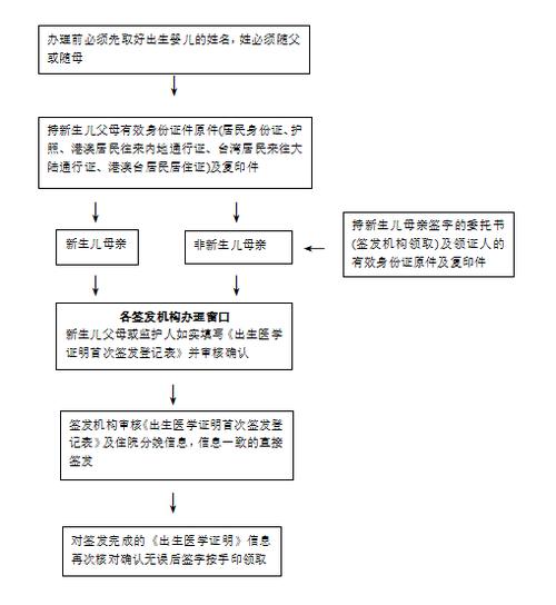 出生证明最新办理指南:快速申领出生医学证明