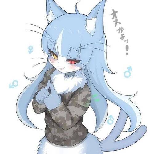 超详细猫娘游戏攻略：教你如何获得稀有猫娘