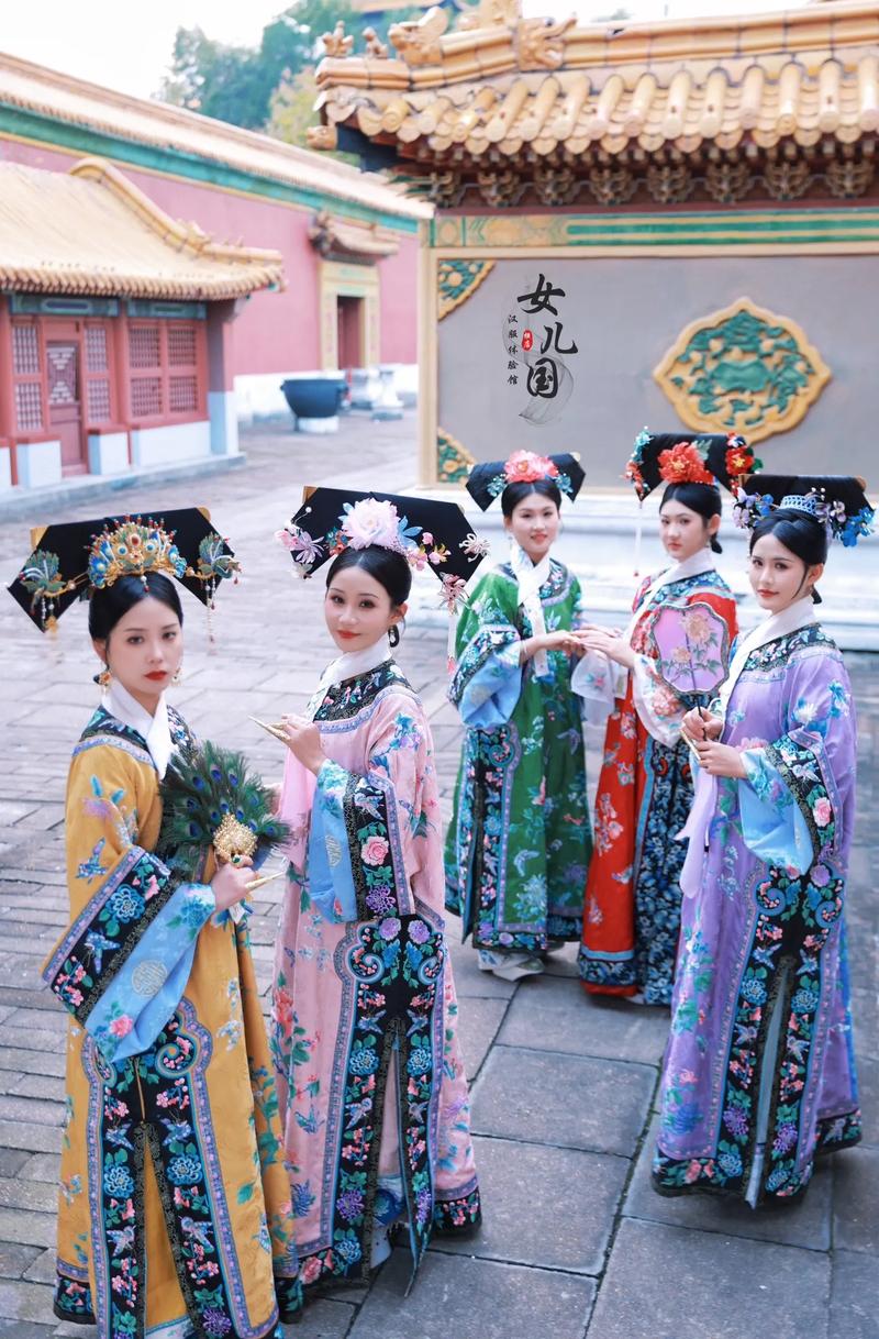 后宫佳丽在哪下载？最全下载途径分享