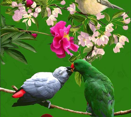 如何下载优艳之花？避免下载到病毒的技巧