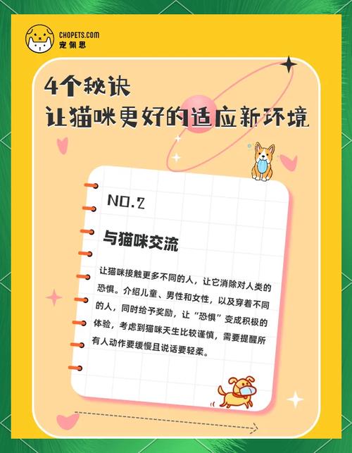 小镇狂想曲最新版本攻略:新手入门,快速上手技巧