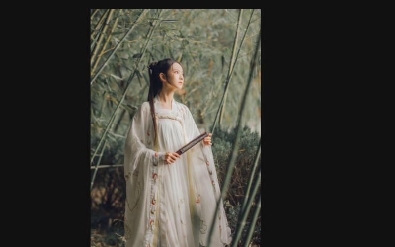 侠女逍遥录V0.755安卓版:超强国产武侠古风游戏