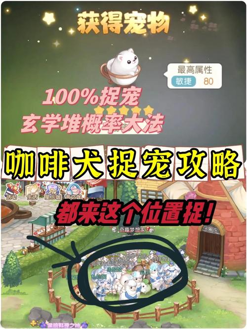 想玩宠物捕捉大师番外?官网地址大全都在这里!