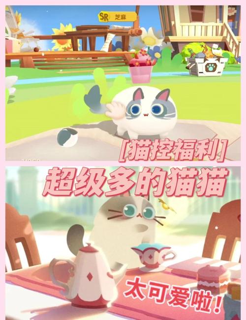 喵喵岛2游戏攻略：快速提升猫咪默契度的方法