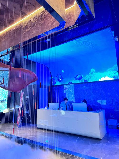 水疗中心官网：专业水疗中心，为您打造身心健康