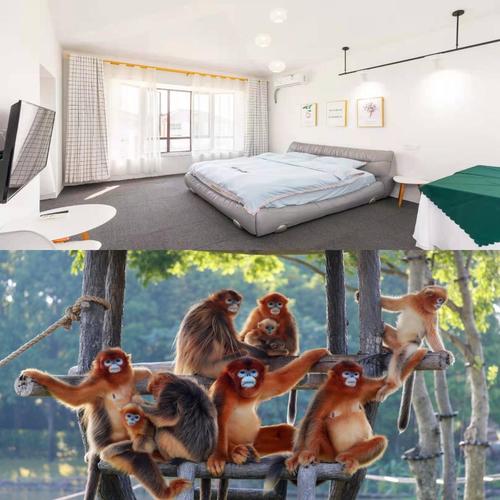 亲密接触官方网站:进入亲密接触的奇妙世界