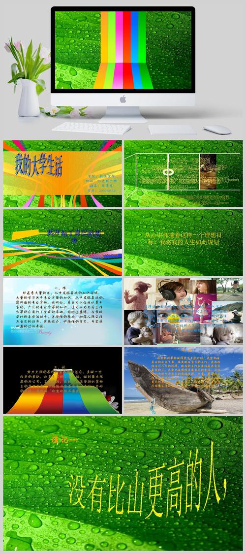 我的大学生活S3官网：玩家评价及游戏版本选择指南