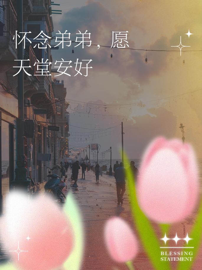 悲伤的天堂：弟弟生前沉迷的游戏回忆