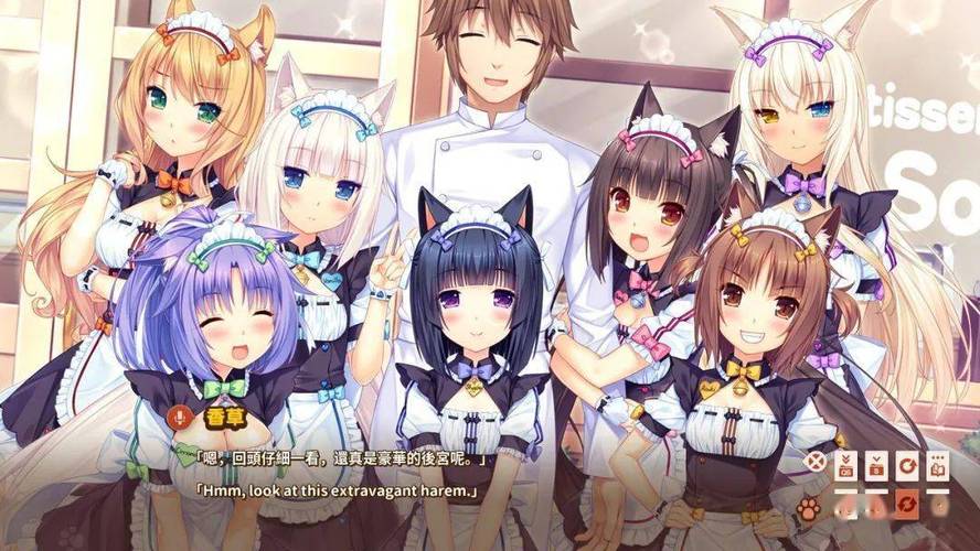 超详细猫娘游戏攻略：教你如何获得稀有猫娘