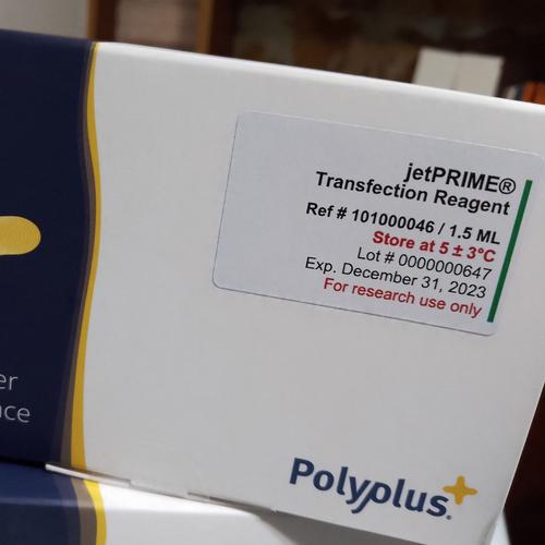 SiliconLust更新地址:最新官网入口分享