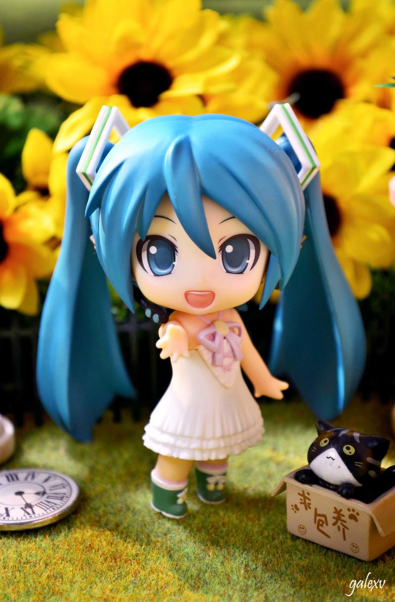 还在找桌面手办下载资源？这里有你想要的答案