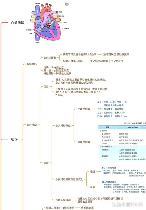 心脏问题大揭秘:从症状到诊断,一次性搞懂