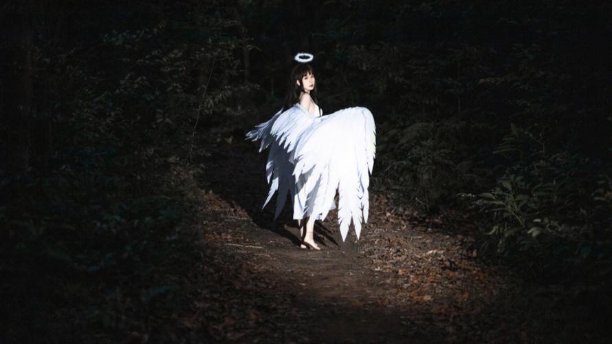 寻找黄昏的天使官方网站？这里有你想要的一切