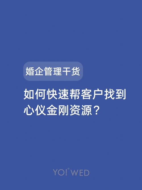 心灵结社版本大全：资源合集，助你轻松找到心仪版本