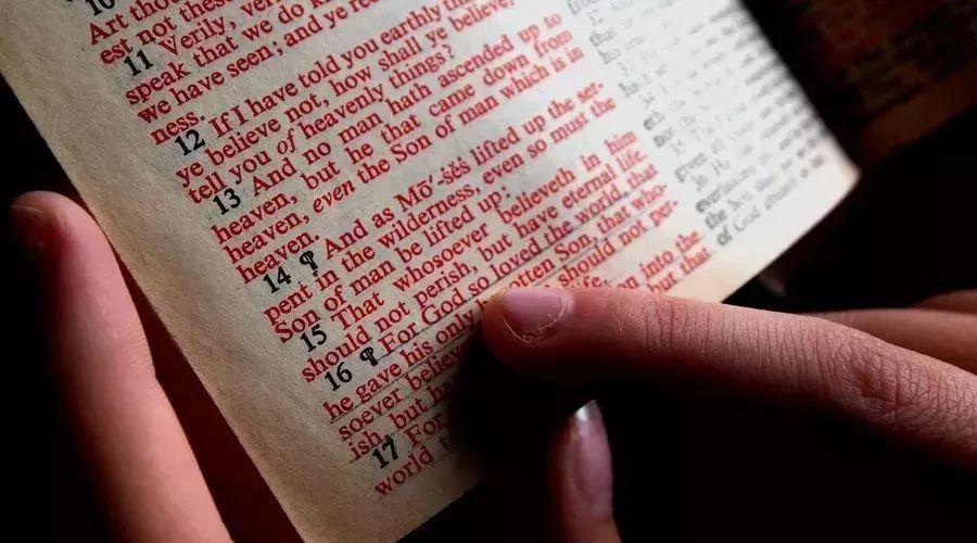 想知道乡间性活汉化版更新了什么？这里有答案！