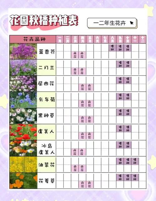 我的播种农场游戏攻略：种植规划及作物选择指南