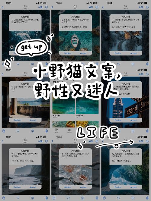 小野猫N上最新内容:第一时间掌握