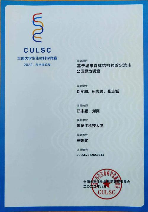 如何下载生命竞赛最新版本?完整教程及下载链接分享