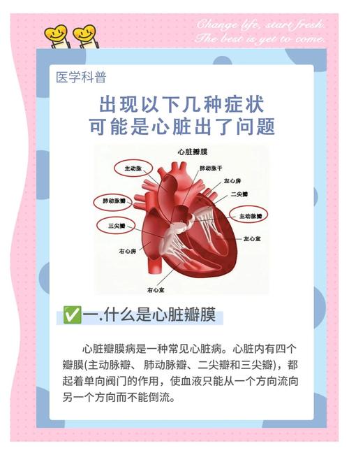 心脏问题大揭秘:从症状到诊断,一次性搞懂