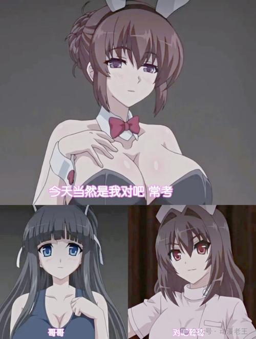 最新版自宅警备员下载地址及版本号公布