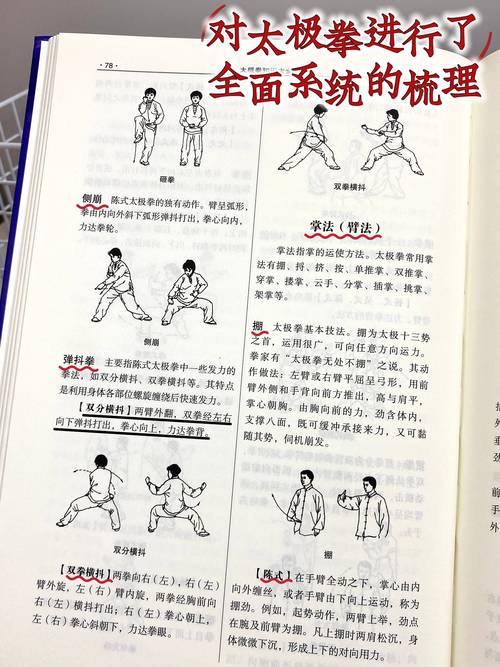 家庭版杨过游戏教学：自大辣妹的独家秘籍