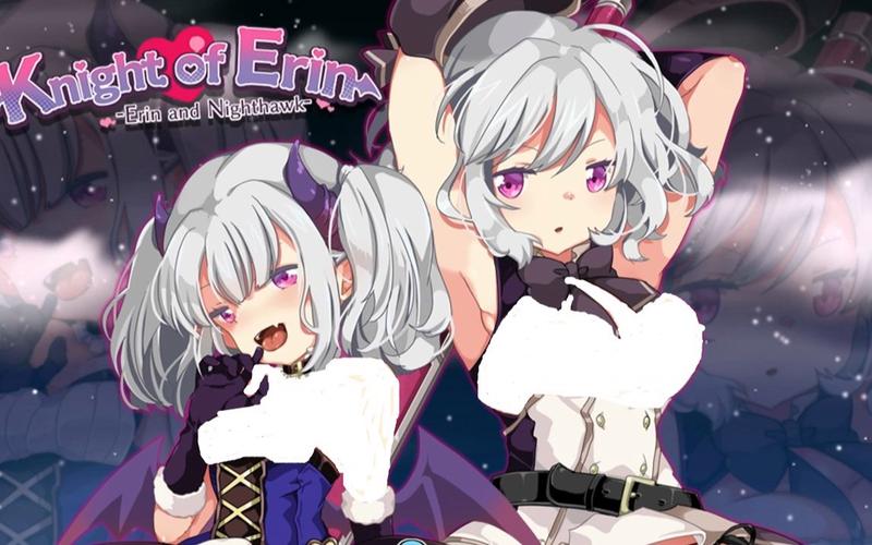 下载NTR女骑士官方正式版最新版:简单快速的游戏下载