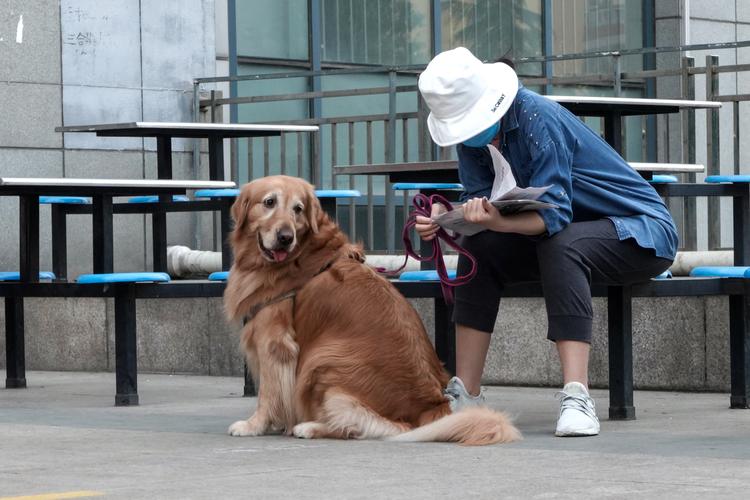 想看人狗情未了？这里提供最新版官方正式下载