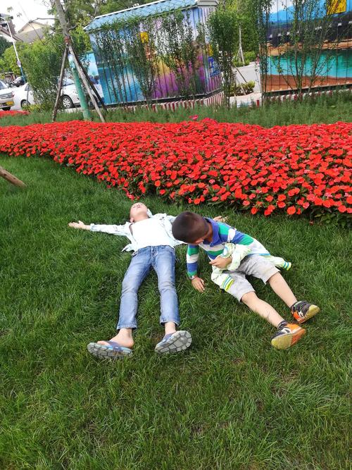 我的秘密暑假时光2最新:游戏里的暑假生活,现实与虚拟的奇妙碰撞!