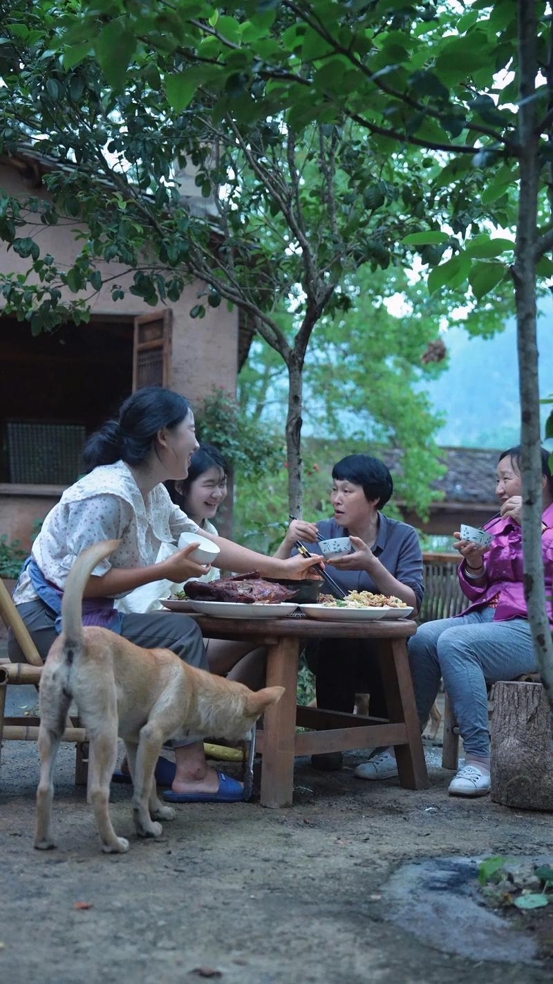 想玩乡下生活，哪个版本是最新最完整的？