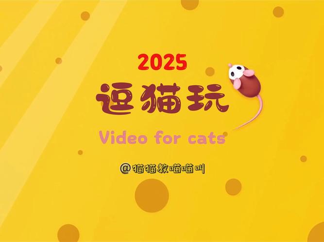 想玩猫研社？这里有你想要的全部版本！