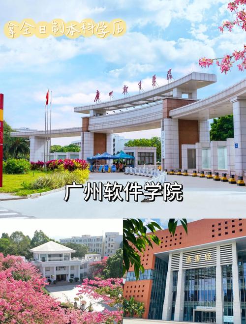 H软件学院下载:官方正版软件下载地址推荐