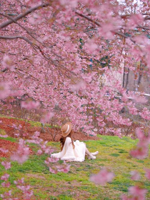 你还在找红樱花馆更新地址吗？这里有你想要的！