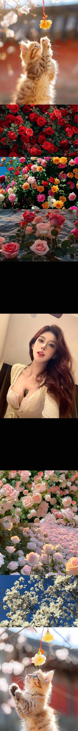 最新反差美女安卓下载资源,快来体验吧!