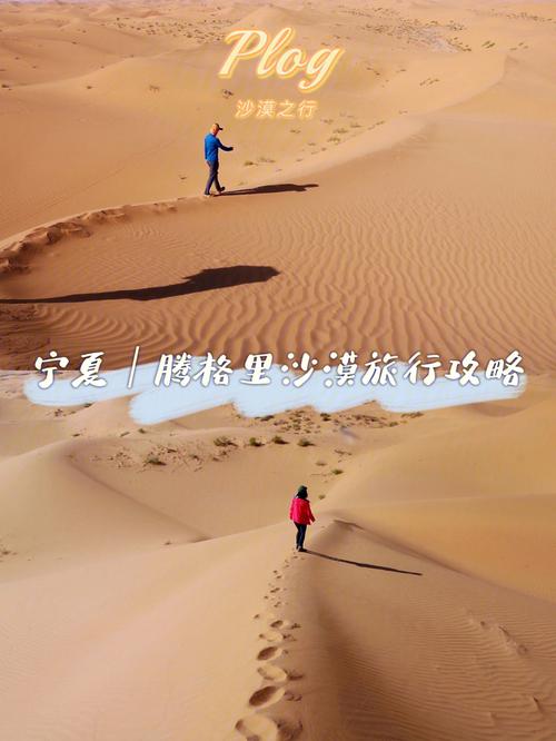 沙漠潜行者最新攻略:快速上手游戏技巧教学