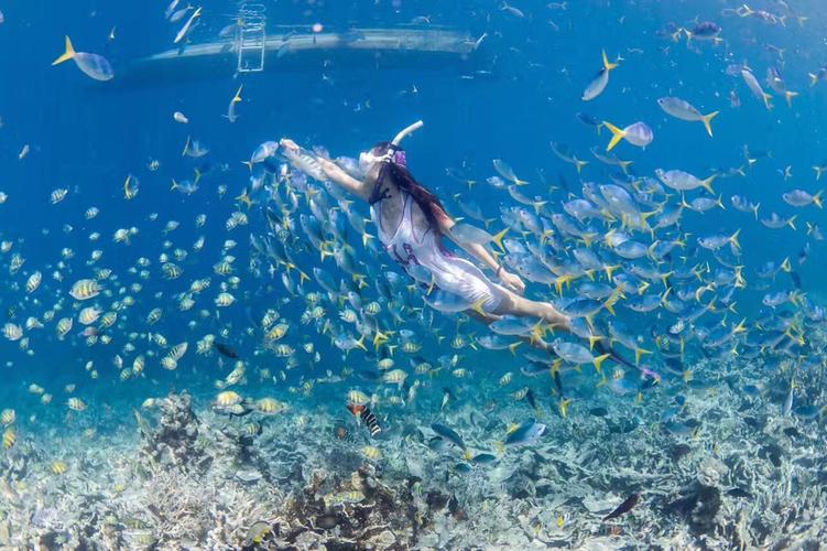 你想知道的都在这里:水上世界内有777汉化版更新内容