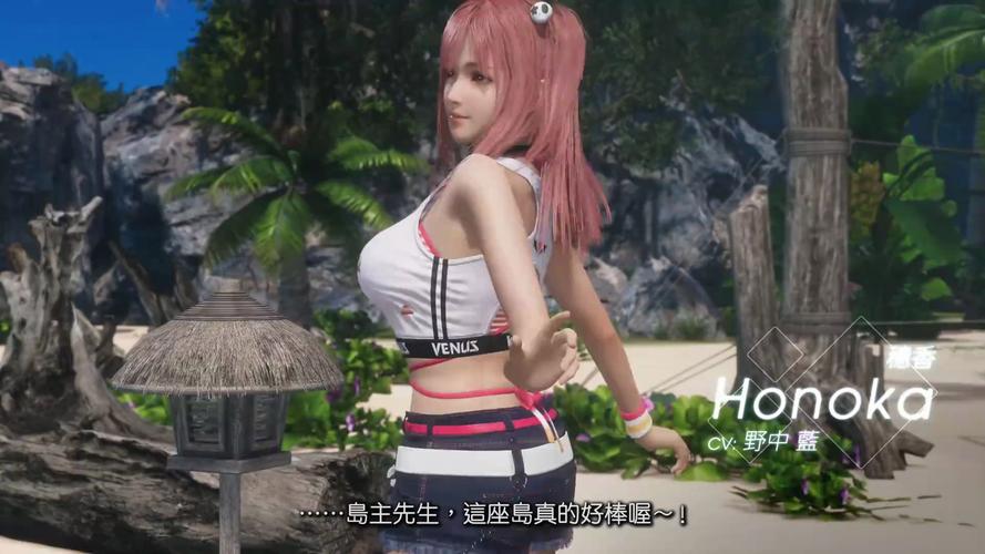 维纳斯俱乐部V2.5.3版本大全:全版本资源下载合集