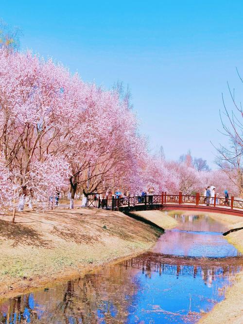 桃花境最新版本上线,超多精彩等你体验