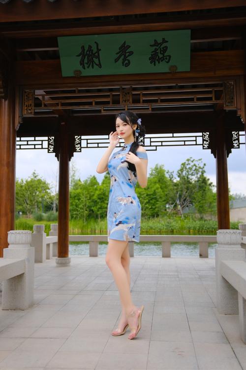 庭树沐年官网:最新写真及视频资源一览